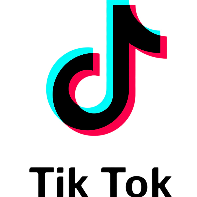 TikTok Logo